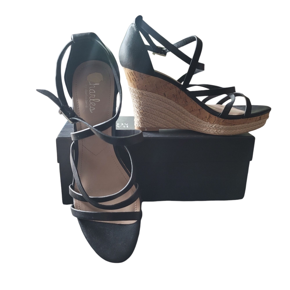 Charles David Charles Gorgeous Espadrille Platform Wedge Sandals Size 8


These